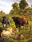 A Pedigree Bull by Charles Jones